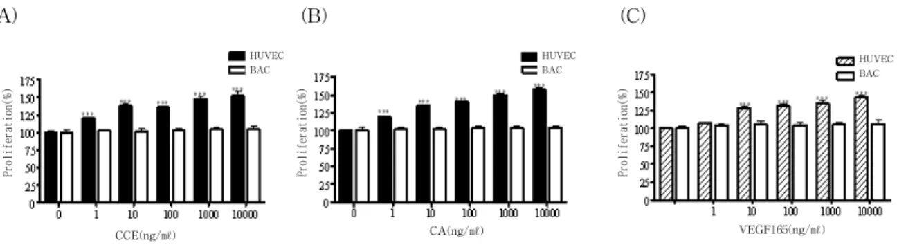 Fig.  2.  In  vivo  activation  of  the  Matrigel  infiltration  of  endothelial  cells