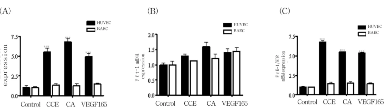Fig.  7.  Quantification  of  real-time  quantitative  RT-PCR  of  VEGF,  Flk-1/KDR  and  Flt-1  expression