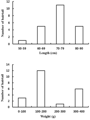 Table 2. Species composition and amount of catch by the vertical longline