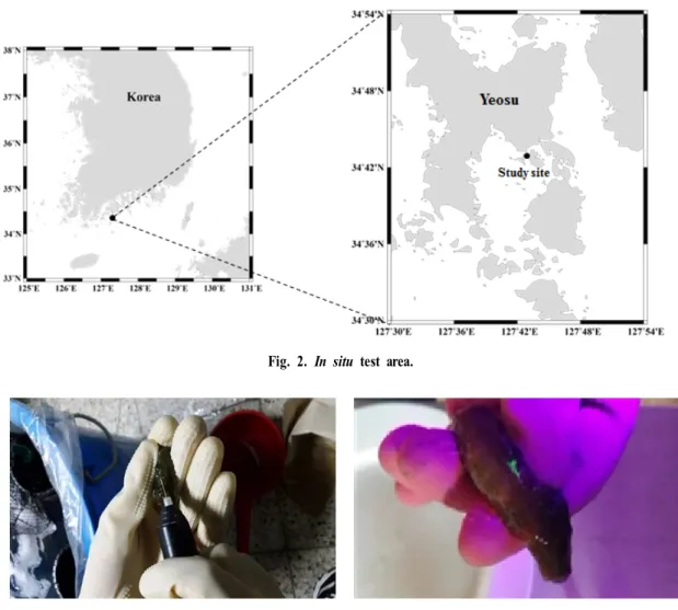 Fig. 2. In situ test area.