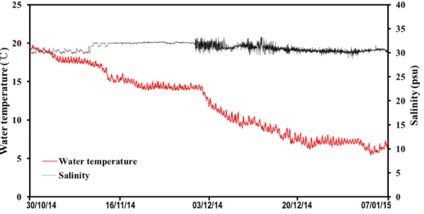 Fig. 4. Time series of water temperature and salinity in situ.
