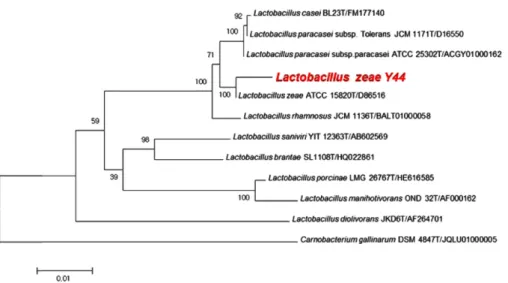 Fig. 3 Cell growth, pH variation, and PLA production by Lactobacillus zeae Y44 in MRS broth
