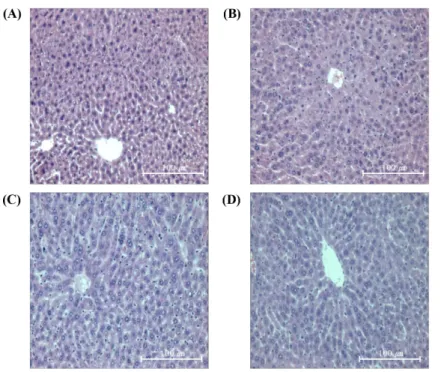 Fig. 8 Effect of GR0F0, GR6F4 on The Histopathological Change Liver Tissues of LPS-treated Mice