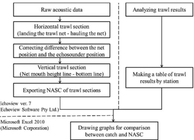 Fig. 2. The flow chart of data analysis for comparing the trawl catch  and the acoustic biomass