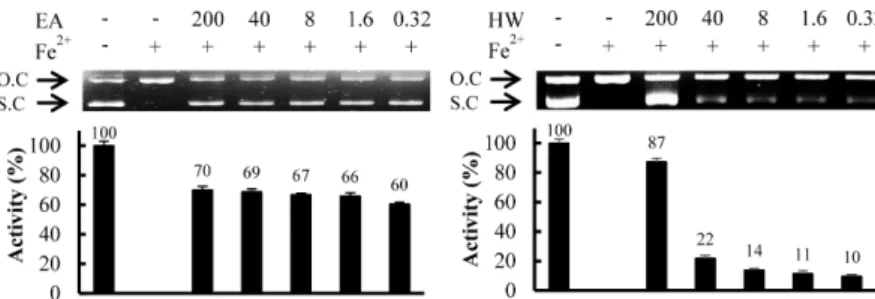 Fig. 2 Inhibition activity of ethyl acetate fractions and hot water extracts from leaf of Zelkova serrate against oxidative DNA damage by Fe 2+ 