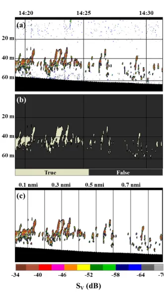 Fig.  2.  Processed  echograms  (defined  fish  schools)  using  the  T1  in  winter.  The  bitmap  echogram  shows  the  fish  schools  as  “True” 