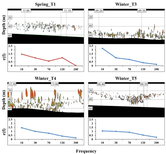 Fig.  3.  Masked  echograms  and  frequency  response  graphs  of  anchovy  schools  which  were  caught  more  than  95%  by  trawling