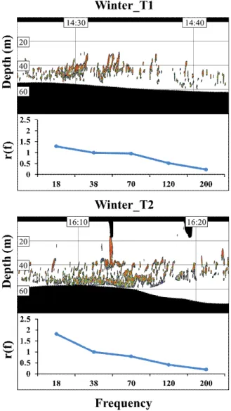 Fig.  5.  Masked  echogram  and  frequency  response  graph  of  anchovy  schools  which  were  caught  less  than  40%  by  trawling.