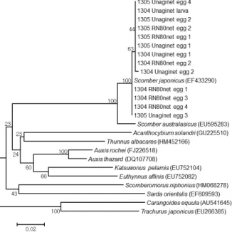 Fig.  5.  Size  frequency  distribution  of  egg  diameter  of  S.  japonicus  in  this  study.