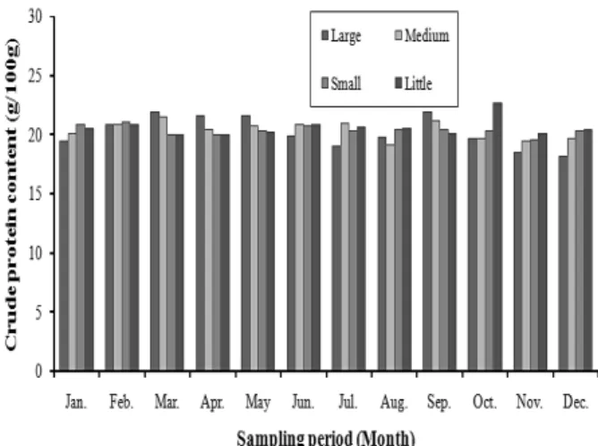 Fig.  7.  Trend  in  monthly  crude  lipid  content  of  chub  mackerel  by  fork  length  class.