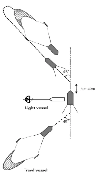 Fig.  3.  A  schematic  diagram  of  the  squid  trawling  in  the  East  sea,  Korea