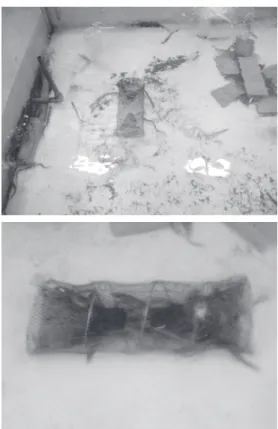 Fig. 1. Spring net pot of conger eel used in the tank experiment  of NIFS from October 26 to November 1, 2005.