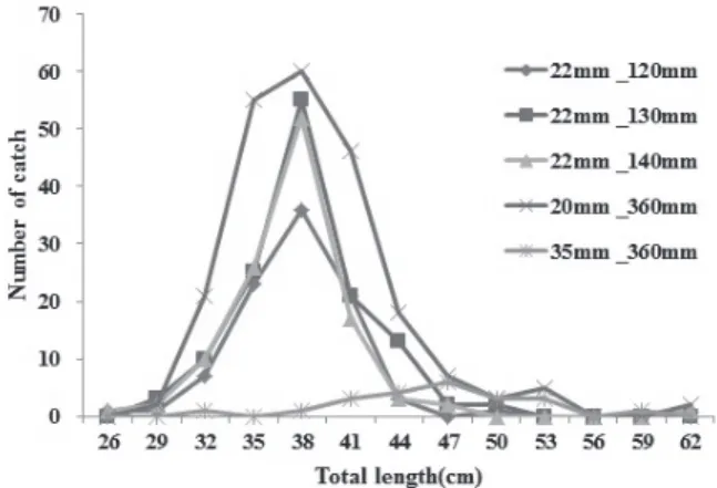 Fig. 5. The total length distributions of conger eel caught in the  field experiments from March to August 2006 in Geoje.