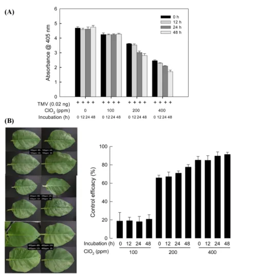 Fig. 6 Antiviral effect of chlorine dioxide (ClO 2 ) on TMV. (A) ELISA test using a method described by Jeon et al