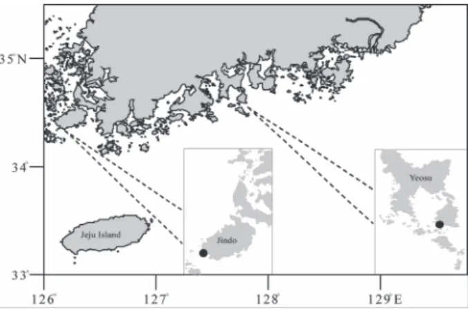 Fig. 1. Sampling stations (black circles) for the study in the coast  of Yeosu and Jindo Island from April to November, 2015.