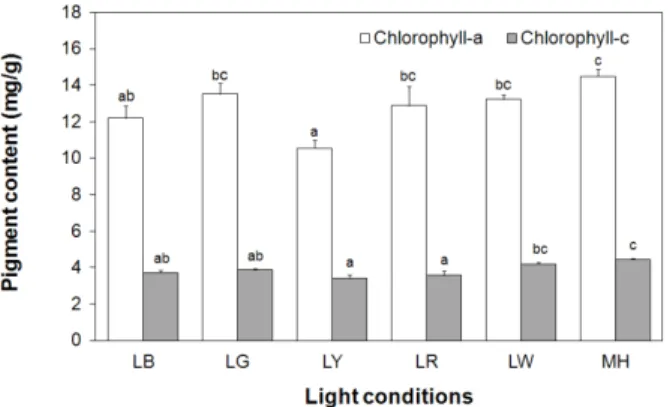Fig. 3. Comparison of the chlorophyll–a and chlorophyll–c content of  I. galbana under various light conditions