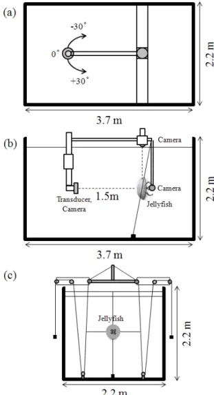 Fig.  1.  Experimental  tank  with  rotation  transducer  used  to  measure  the  target strength (TS) of A