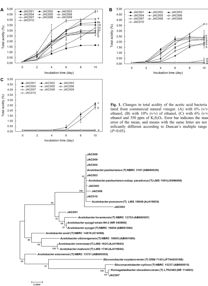 Fig. 1. Changes in total acidity of the acetic acid bacteria iso- iso-lated from commercial natural vinegar