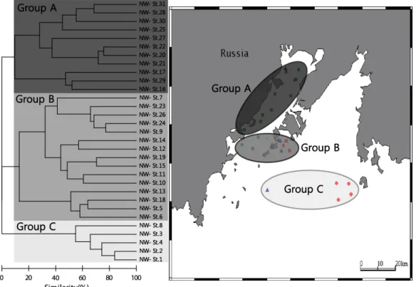 Fig. 4. Dendrogram and schematic representation of space distribution based on Bray–Curtis similarity matrix of fourth root transformed  data of species number and abundance in the northwestern East Sea of Russian EEZ from 2006 to 2008.