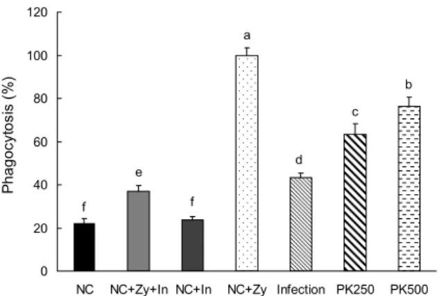 Fig. 5. Effects of Pinus koraiensis (PK)  cone peel extracts on  phagocytic activity from peritoneal macrophage in C57BL/6  mice with or without LP-BM5 virus