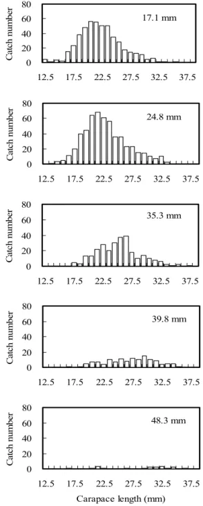 Table  2.  Catch  numbers  of  species  caught  in  the  pot  of  each  mesh  size