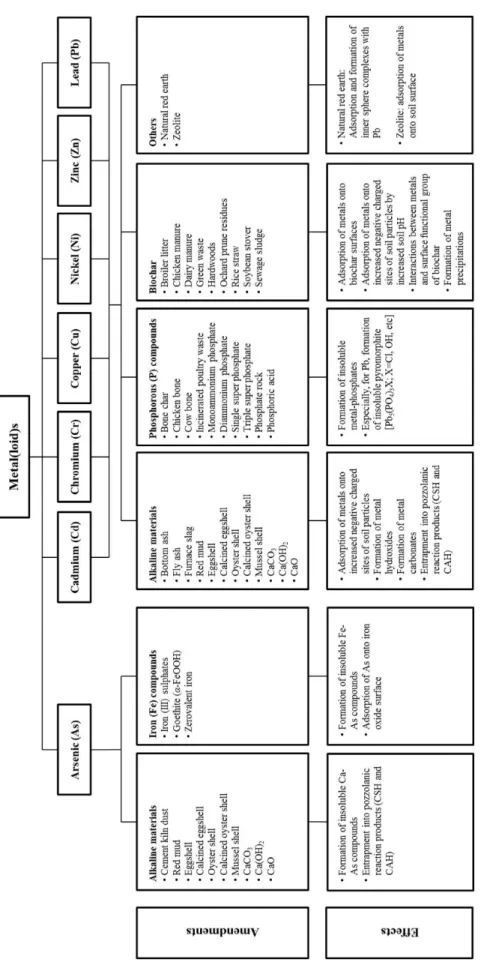 Fig. 1 Schematic description of metal(loid)s stabilization in the soils.