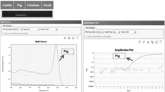 Table 6. Sensitivity tests and Ct values for pork and chicken DNA concentration (ng/μL) Ct values Pork Chicken 50 5.0 0.5 0.05 20.10±0.02 d22.35±0.01c26.08±0.02b31.01±0.03a 11.87±0.01 d15.10±0.00c18.67±0.01b22.48±0.01a All values represent mean±SD (n=3).