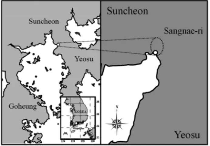 Fig. 1. Location of the study area (O).