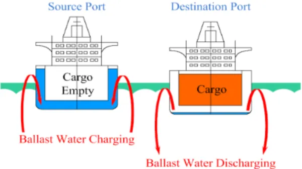 Figure 1: Conceptional diagram of ballast water  exchange. 이 과정에서 배출되는 생물은 박테리아,  병원균,  소형 무척추동물과 다양한 종류의 난과 포자,  유생  등이 있으며,  저서생물의 경우는 유생 상태로 유입 되어 새로운 환경에 정착하게 된다