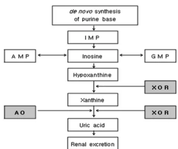 Table 2 Mixing effects of FSCL 1)  and SCLR 2)  extracts on the sensory quality