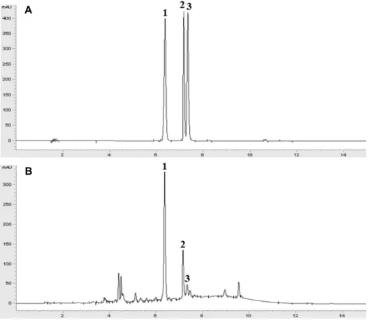 Fig. 1. HPLC chromatogram of standards solution (100 μg/mL) (A) and Sansuyu (Corni fructus) extract (B)