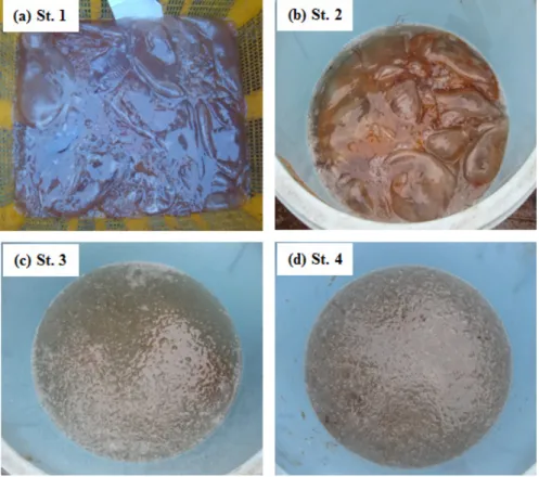 Fig. 4. Pictures of sample caught at St. 1 (12 m), St. 2 (12 m), St. 3 (19 m) and St. 4 (26 m) by FMT
