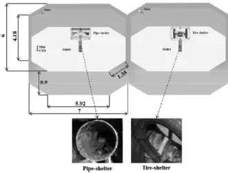 Fig. 2. Experimental setup in flow-through seawater tanks (unit: m).