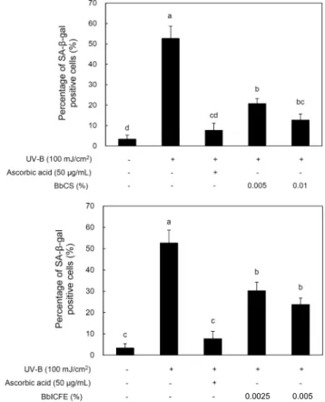 Fig. 4. Effect of BbCS and BbICFE on SA-β-gal activity in  UV-B irradiated HDFs. Values with different letters above the bars are significantly different at P<0.05 by Duncan’s multiple range test.