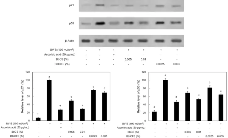 Fig. 5. Expression of p21 and p53 in UV-B irradiated HDFs. Values with different letters above the bars are significantly different  at  P<0.05 by Duncan’s multiple range test.