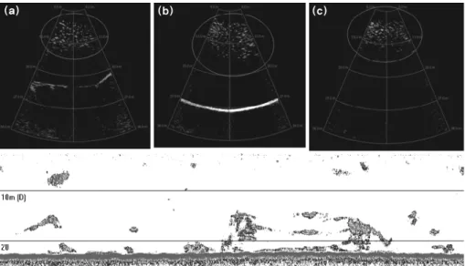 Fig. 10. Comparison of echo sounder  echogram and images of acoustic image sonar on November 2013.