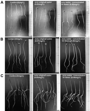 Fig. 1. Comparison of the sprout growth of three sprouts as  affected by Jeju water concentration