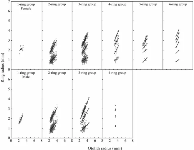 Fig. 4. Relationship between otolith radius and ring radius of Pleuronectes yokohamae by each ring group
