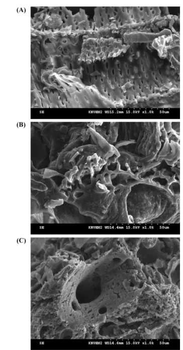 Fig. 3 Scanning electron microscopy (SEM) images of (A) burcucumber biomass (BM), (B) burcucumber derived biochar at 300 o C (BC300) and (C) burcucumber derived biochar at 700 o C (BC700).