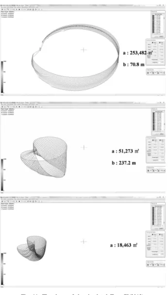 Fig. 11. The shape of the simulated Type-Ⅳ(2013).