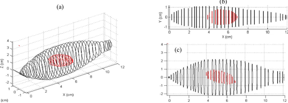 Fig. 3. 3 dimensional (a), ventral (b) and lateral (c) shape of fish body and swim bladder reconstructed with finite cylinders in Kirchhoff-ray mode  model.