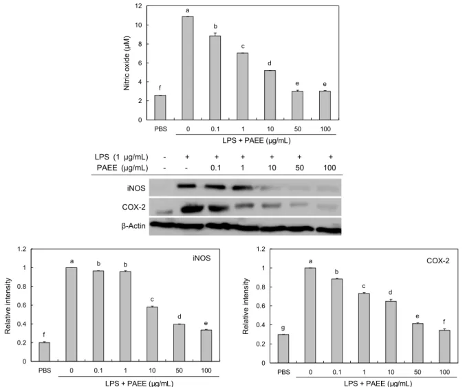 Fig. 2. Inhibitory effects of ethanolic extract from Polyopes affinis (PAEE) on NO production and the expression of iNOS and  COX-2 in LPS-induced RAW 264.7 cells