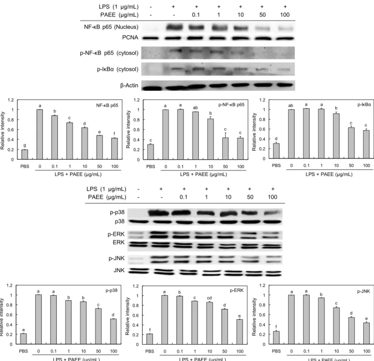 Fig. 4. Inhibitory effects of ethanolic extract from Polyopes affinis (PAEE) on the protein expression of NF-κB  p65,  p-IκBα,  p-p38,  p-ERK, and p-JNK in LPS-induced RAW 264.7 cells