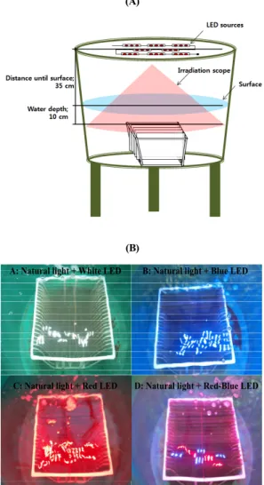 Fig. 1. Experiment view of LED irradiation treatment (200 L FRP tank)  and diatoms attaching plate (30 cm × 40 cm)