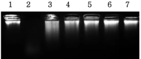 Fig. 6. Electrophregram of the reaction mixtures of various concentrations of the EtOH extract of  C