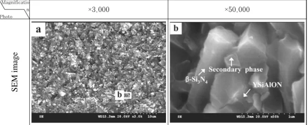 Figure 2: SEM image of HIP treated silicon nitride