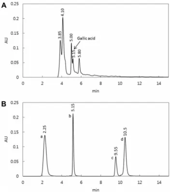 Fig. 2. HPLC chromatogram of black garlic pomace extract. (A) Black garlic pomace extract