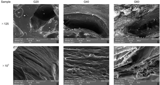 Fig. 5. SEM of hydrated texturized soy protein isolate at different gluten contents at 45% moisture content