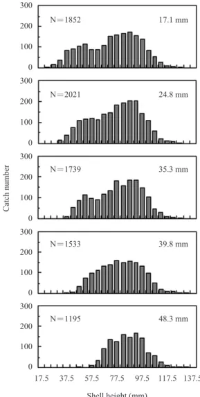 Fig. 3. Shell height distributions of finely-striate buccinum caught in the experimental pots