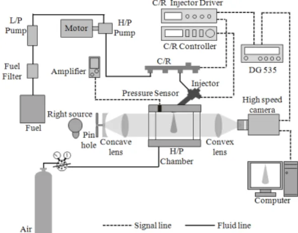 Figure 1: Schematic diagram of experimental setup